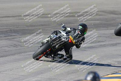 media/Feb-04-2024-SoCal Trackdays (Sun) [[91d6515b1d]]/4-Bowl Backside (11am)/